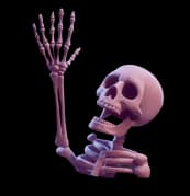 Halloween skeleton