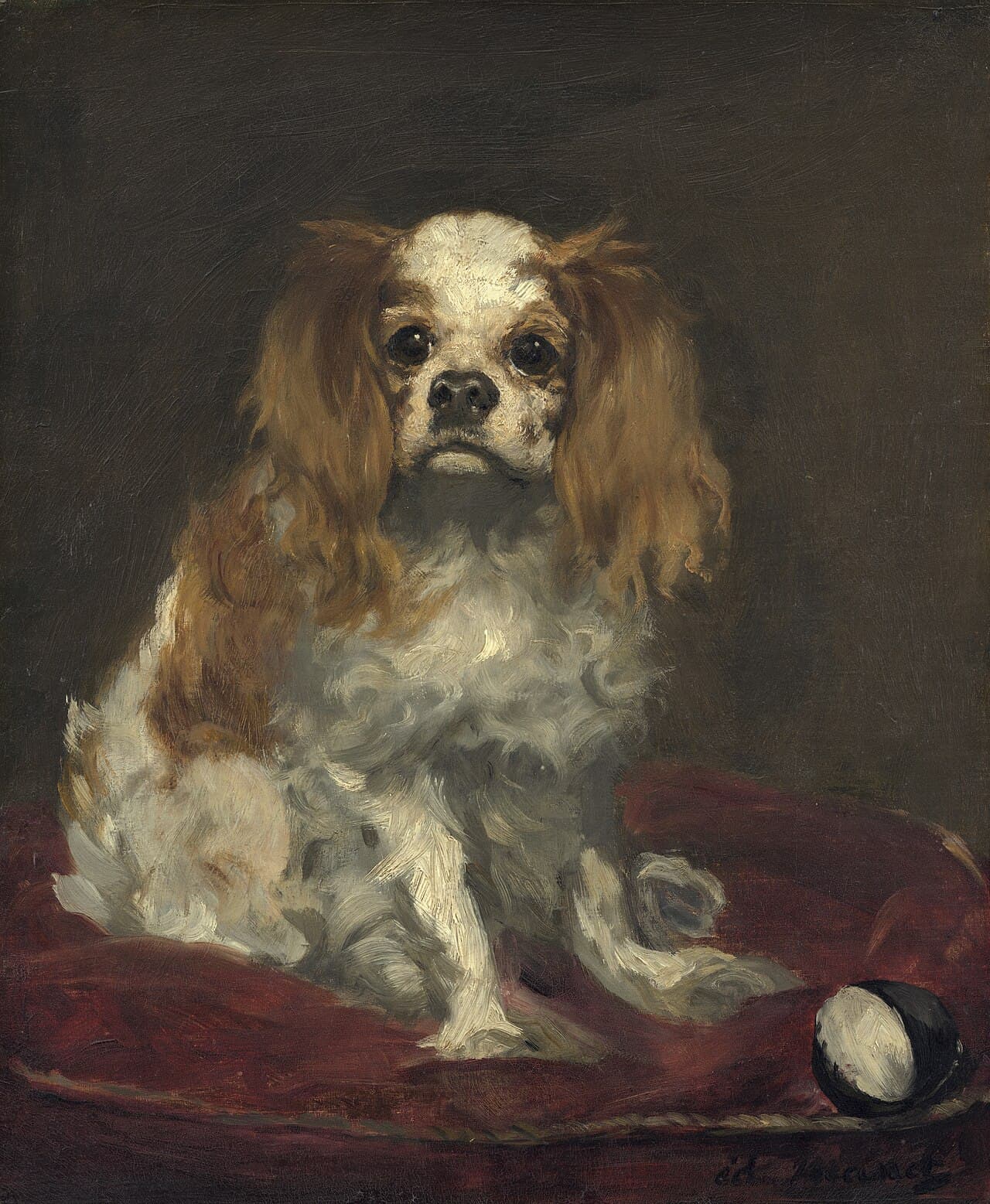 Edouard Manet's oil painting A King Charles Spaniel, showing a small dog on a red cushion